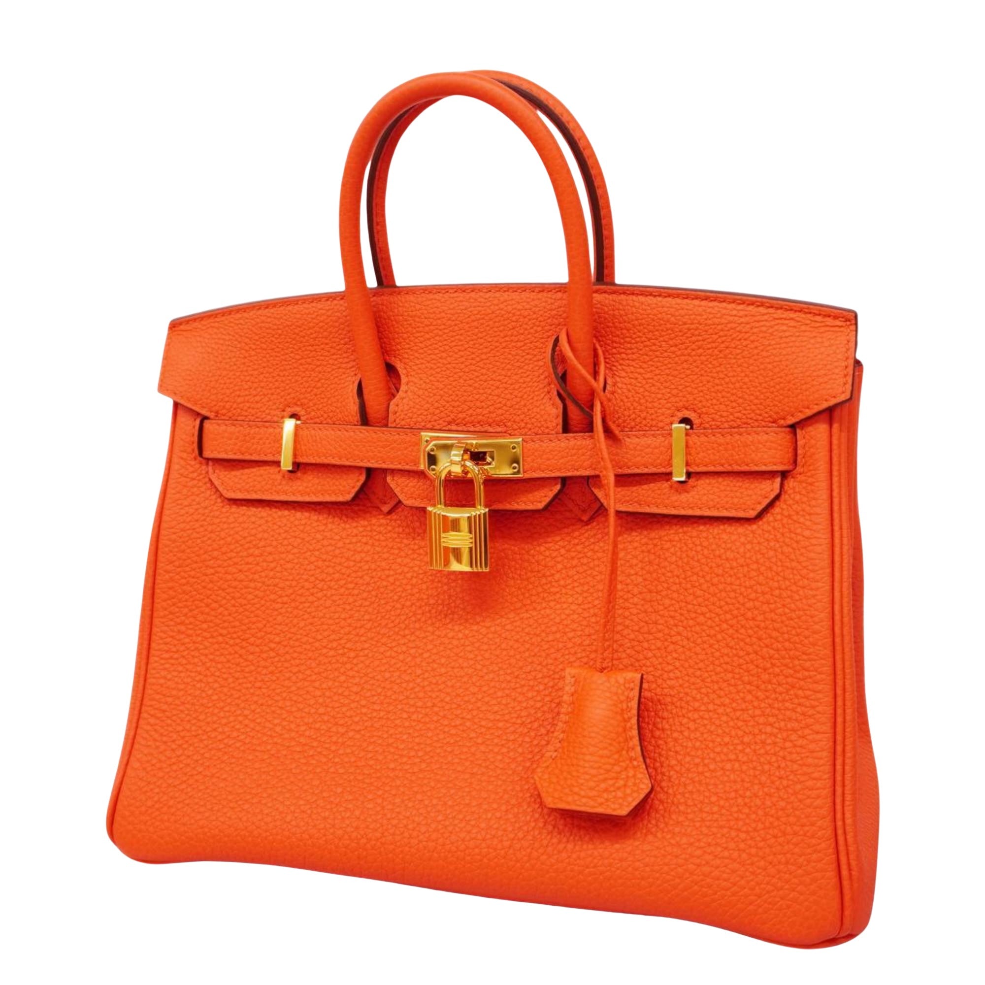 Hermès Birkin 25